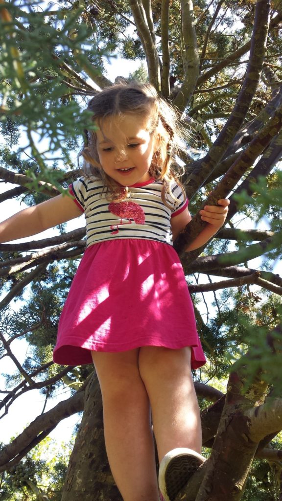 A little girl looking down as she stands in a tree.