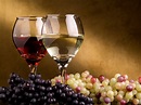 Arts and Entertainment; Glass of Red and white fine wine with matching grapes