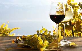 All Things COOKING FOOD AND WINE.  A couple of wine glasses with red and white wine next to some grapes.